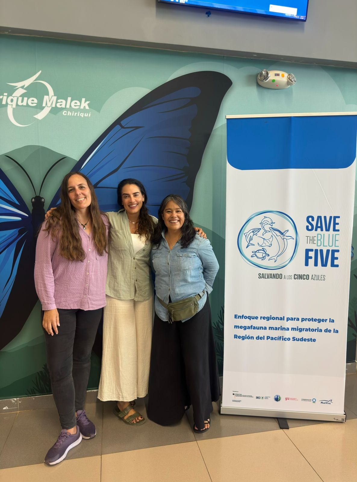 Expertas en tortugas