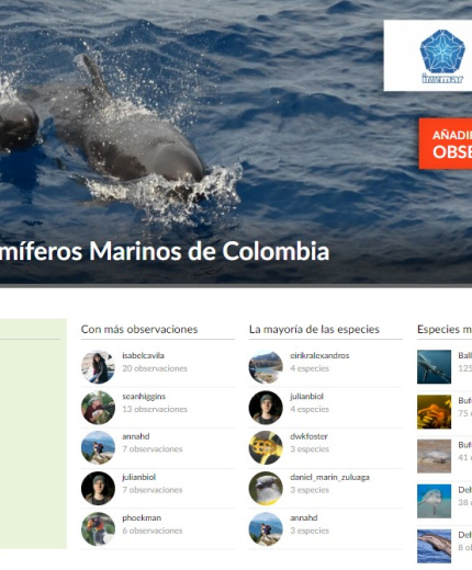 captura de pantalla sistema mamíferos marinos de Colombia