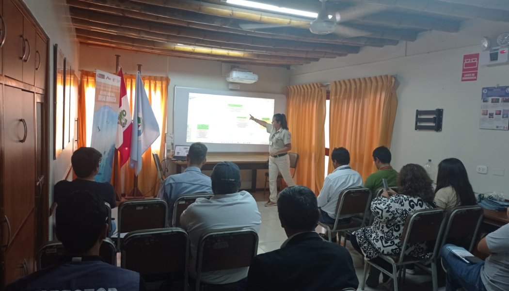 Sesión de trabajo del proyecto