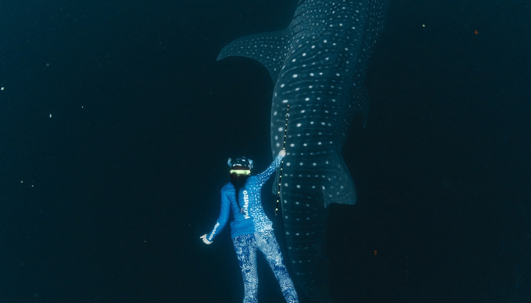 Tiburón nadando junto a una persona en el oceáno