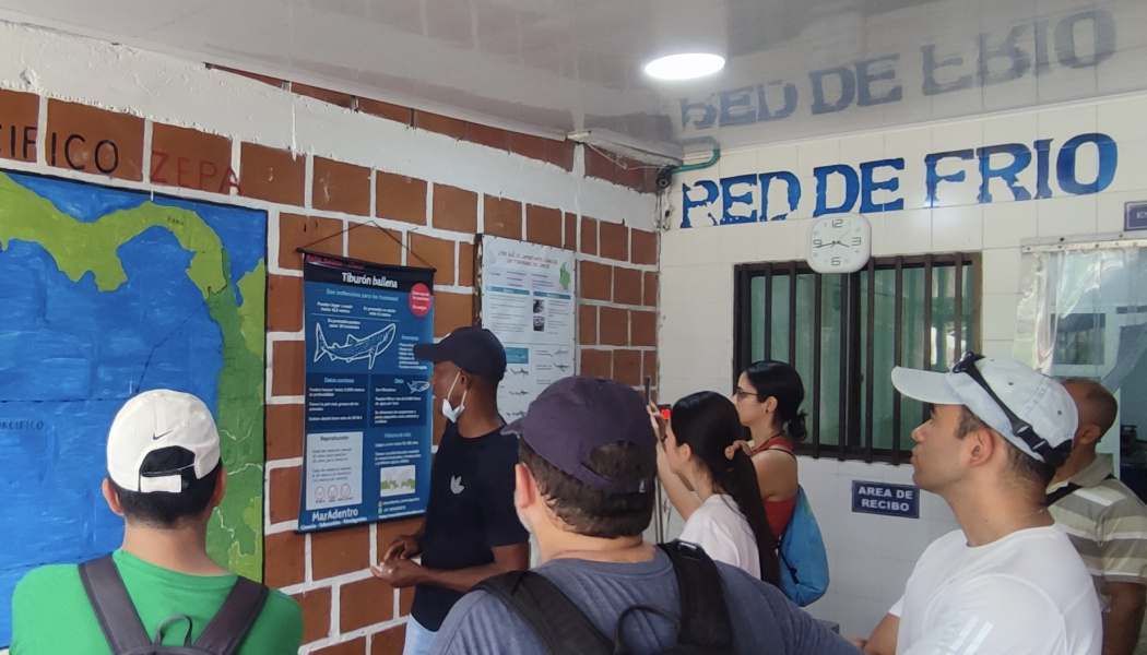 Fotografía participantes en Campamento Tiburón