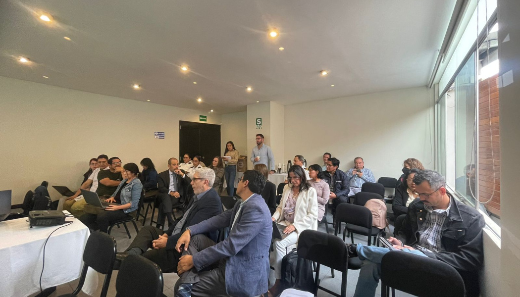 Taller de construcción del Plan Maestro en Lima