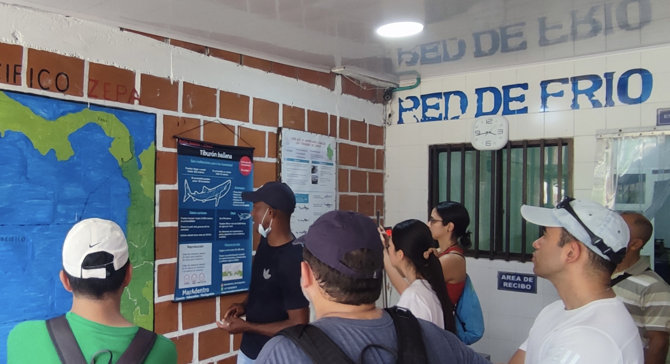 Fotografía participantes en Campamento Tiburón