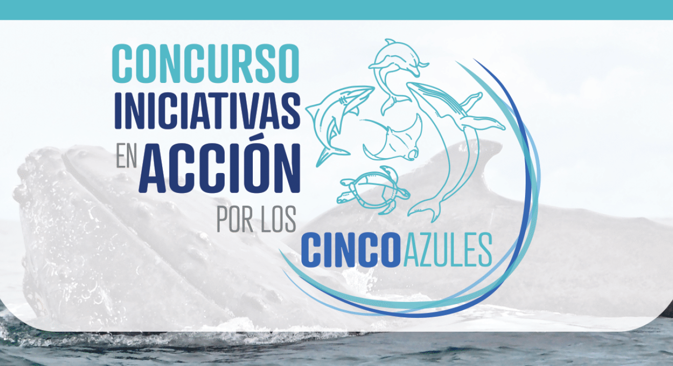Concurso Iniciativas en Acción por los Cinco Azules