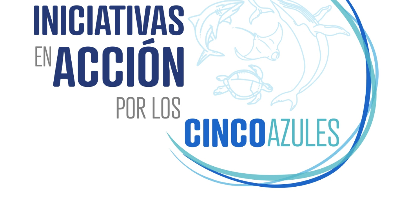Concurso Iniciativas en Acción por los cinco azules