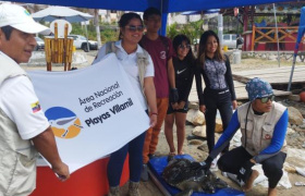 Evento de liberación de tortuga marina rehabilitada.