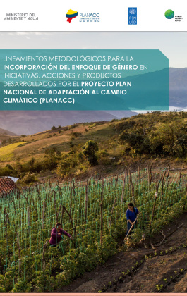 109_Lineamientos metodologicos genero_PLANACC_VF.pdf