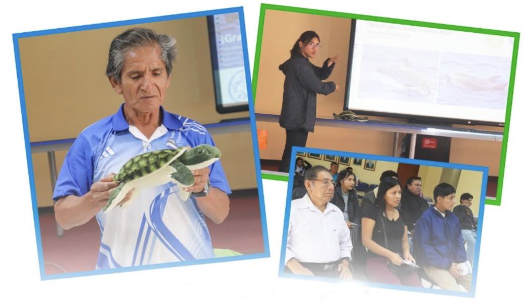 ProDelphinus_Clases