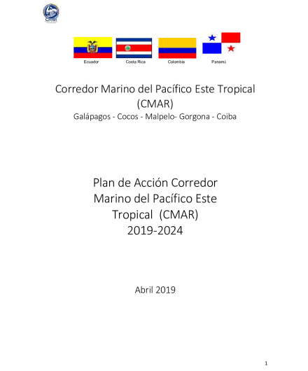 323. Plan de accion_2019-2024.pdf