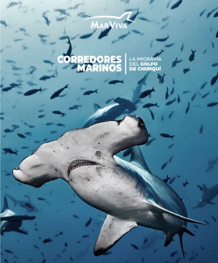 324. Corredores-Marinos.-La-migravia-del-Golfo-de-Chiriqui.pdf