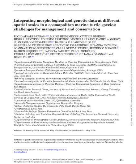 347. Integrating morphological and genetic data at different spatial scales in a cosmopolitan marine turtle species.pdf