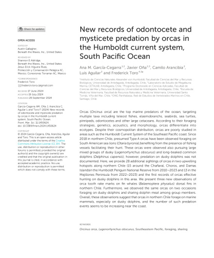 354. New records of odontocete and mysticete predation by orcas in the Humboldt current system, South Pacific Ocean.pdf