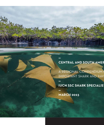 362. Central and South American Pacific A regional compendium of Important Shark and Ray Areas.pdf