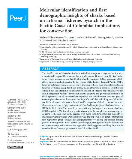 368. Molecular identification and first demographic insights of sharks based on artisanal fisheries bycatch in the Pacific Coast of Colombia.pdf