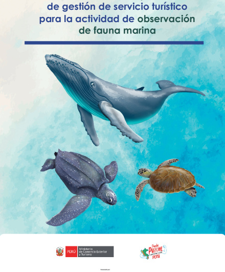 372. MBP de gestión de servicio turística para la actividad de observación de fauna marina.pdf