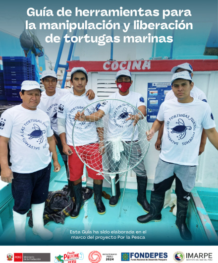 378. Guía de herramientas para la manipulación y liberación de tortugas marinas.pdf