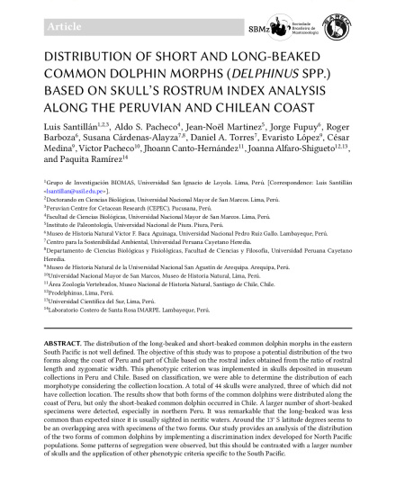 387. Distribution of short and long-beaked common dolphin morphs (Delphinus spp.) based on skull’s rostrum index analysis along the Peruvian and Chilean coast.pdf