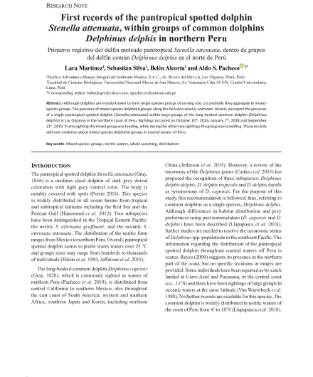 389. First records of the pantropical spotted dolphin Stenella attenuata, within groups of common dolphins.pdf