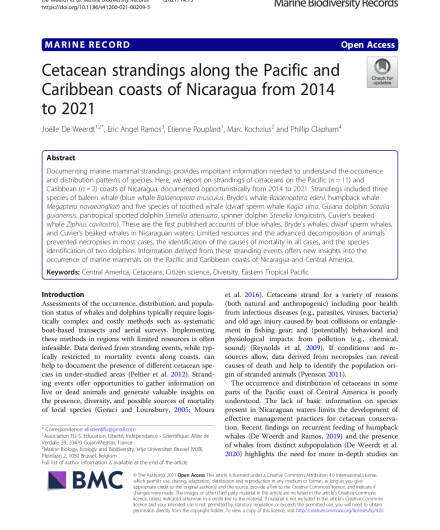390. Cetacean strandings along the Pacific and Caribbean coasts of Nicaragua from 2014 to 2021.pdf