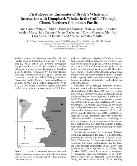 398. First reported encounter of bryde’s whale and interaction with humpback whales in the Gulf of Tribugá, Chocó, northern colombian pacific.pdf