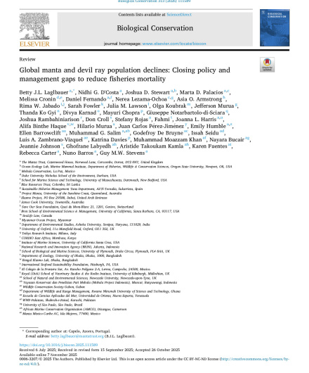 409. Global manta and devil ray population declines, Closing policy and management gaps to reduce fisheries mortality.pdf
