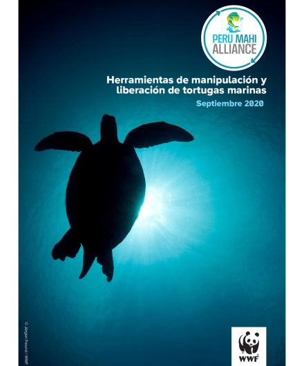 413. Herramientas de manipulación y liberación de tortugas marinas.pdf