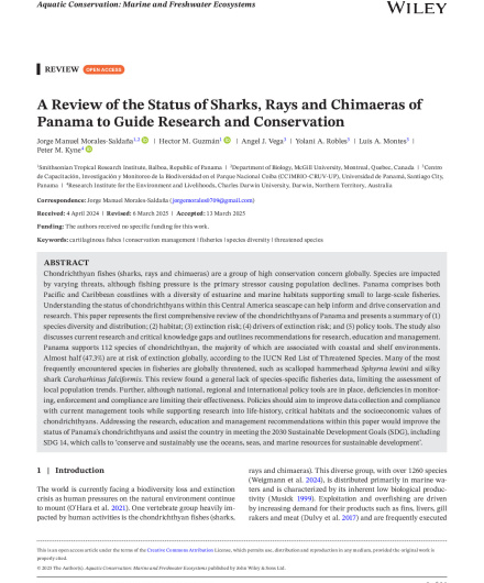 426. A Review of the Status of Sharks  Rays and Chimaeras of Panama to Guide.pdf