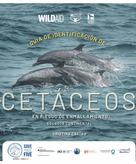 429. Guía de cetáceos del Ecuador continental, especies en riesgo de enmallamiento.pdf