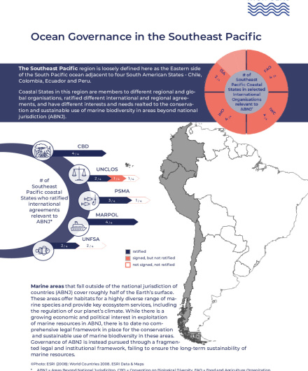 469. Ocean Governance in the Southeast Pacific.pdf