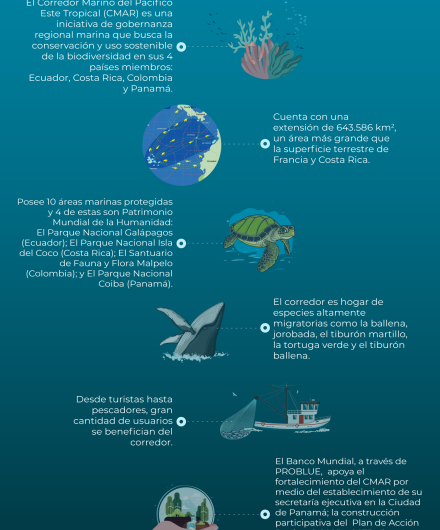 422. 7 datos sobre el corredor marino del Pacífico Este Tropical.png