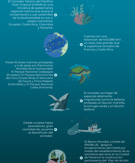 422. 7 datos sobre el corredor marino del Pacífico Este Tropical.png