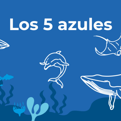 Campaña Los cinco azules