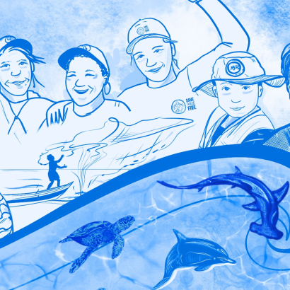 ilustración del curso de Salvaguardas