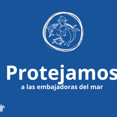 Protejamos a las embajadoras del mar