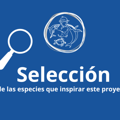 Selección de las especies que inspiran este proyecto