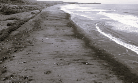 Fotografía con dron, arribada tortuga lora en playa Ostional 
