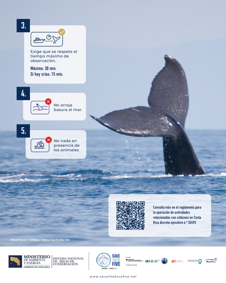Infografía de observador de ballenas responsable en Costa Rica 02