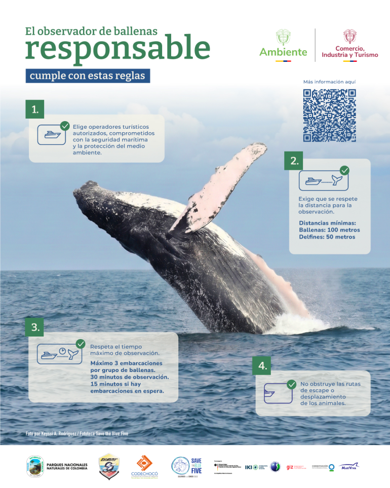 Infografía de observador de ballenas responsable en Colombia