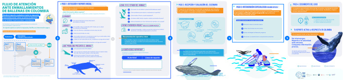 Infografia desenmalle 2.1 COL