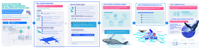 Infografia desenmalle 2.1 CR