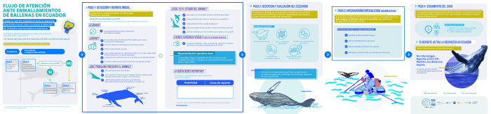 Infografia desenmalle 2.1 ECU