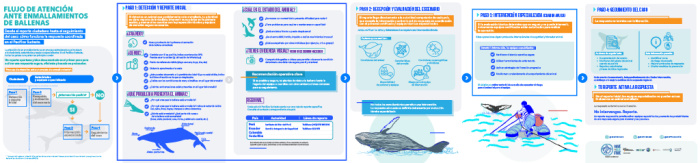 Infografia desenmalle 2.1