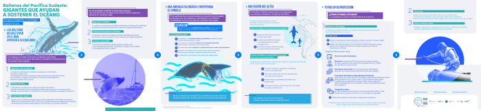 Infografia desenmalle 2.4