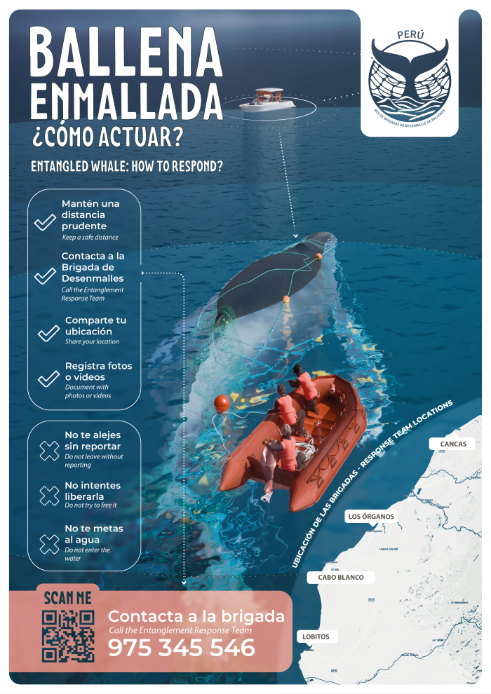 Infografía Reporte de enmalle WWF Perú