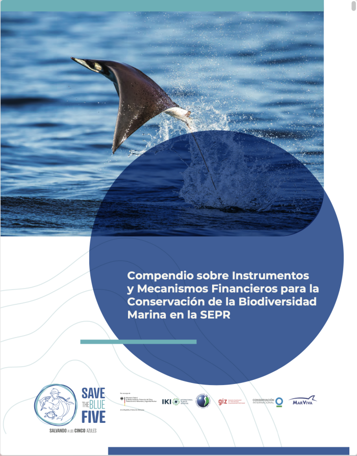 Portada documento Compendio de instrumentos