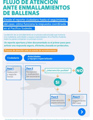 Infografia desenmalle 2.1