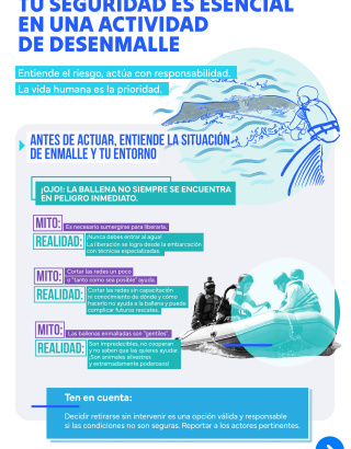 Infografia desenmalle 2.2