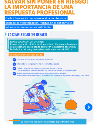 Infografia desenmalle 2.3