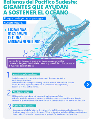 Infografia desenmalle 2.4