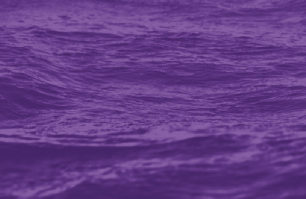 Fondo del océano color morado